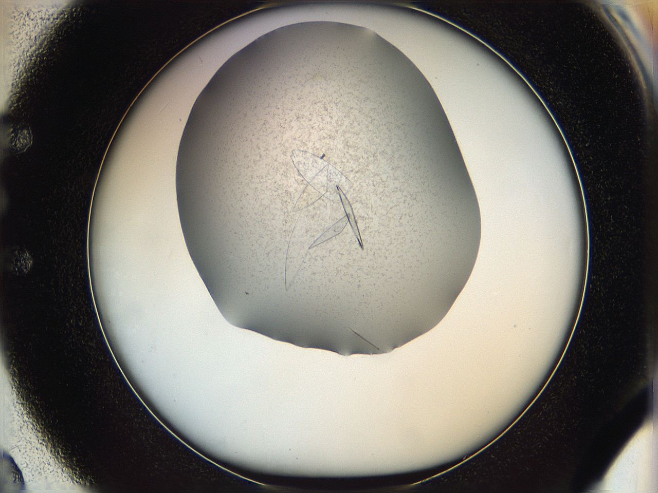 05yp_E2_ImagerDefaults_8.jpg