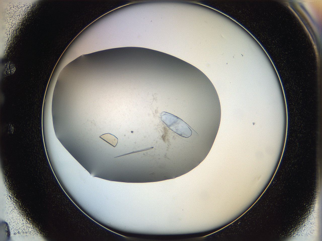 05yp_E4_ImagerDefaults_9.jpg