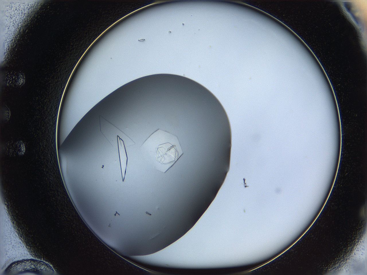 05yp_E12_ImagerDefaults_9.jpg