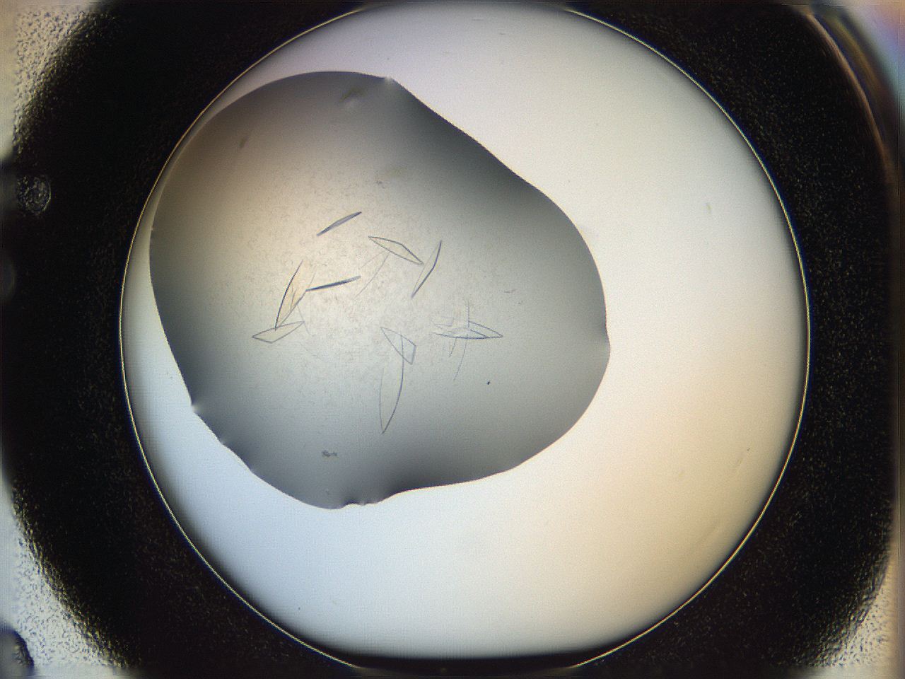 05yp_F3_ImagerDefaults_7.jpg
