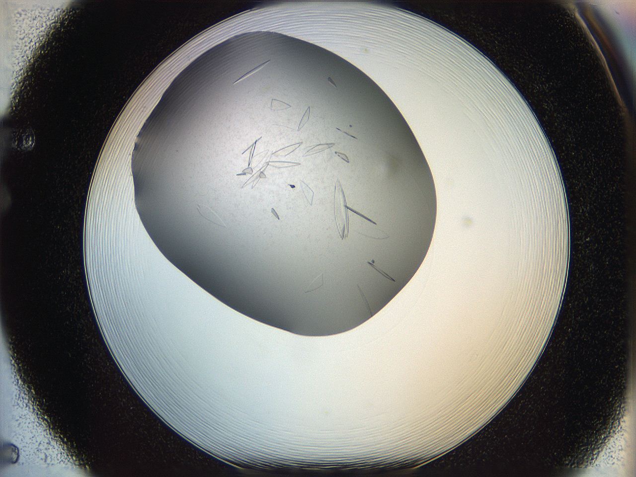 05yp_F5_ImagerDefaults_7.jpg