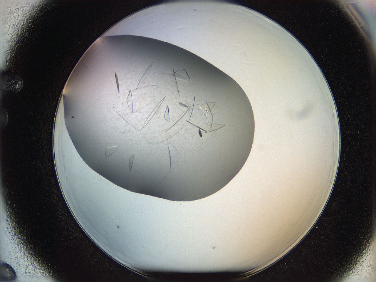 05yp_F6_ImagerDefaults_8.jpg