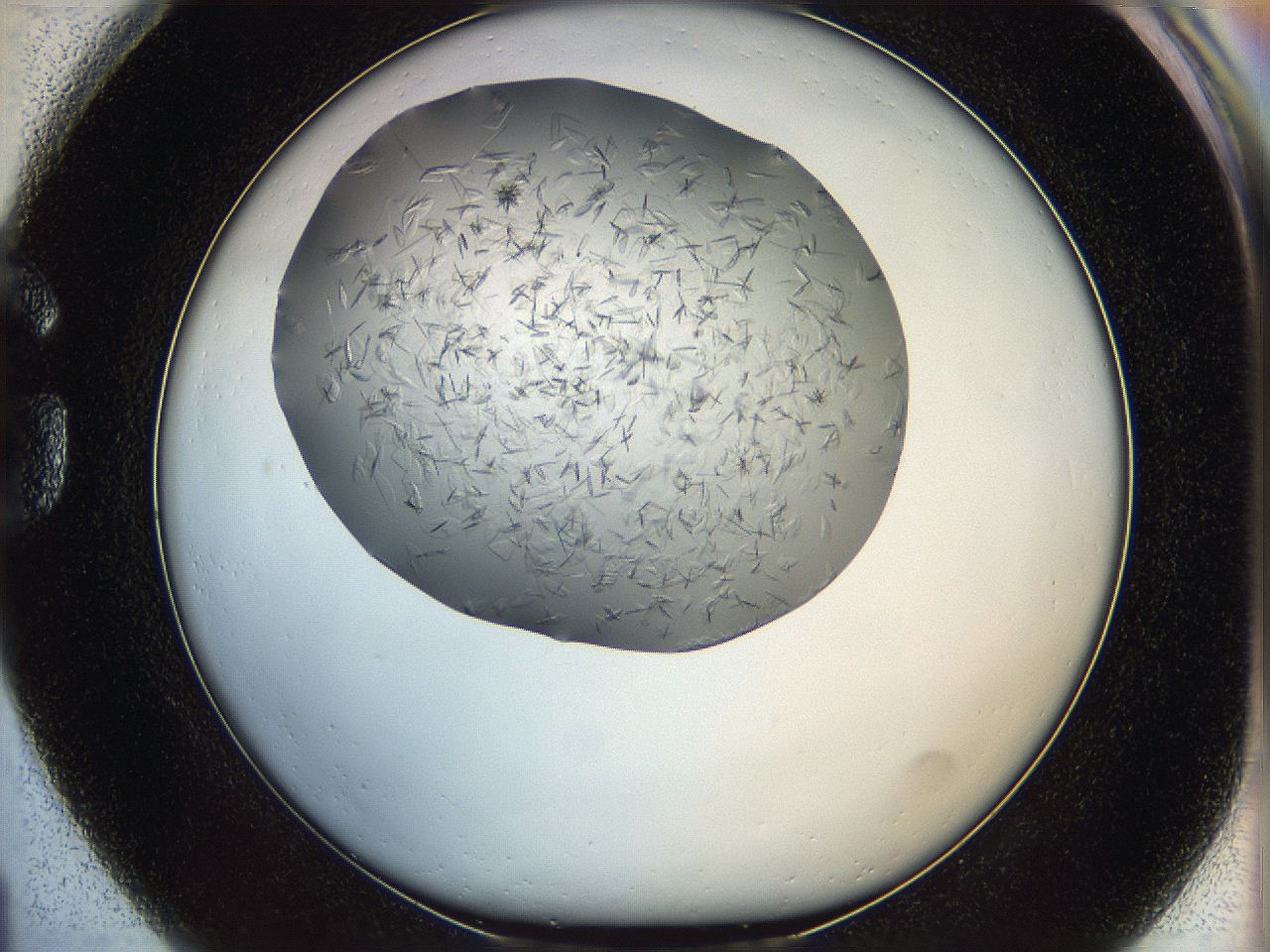 05yp_G1_ImagerDefaults_7.jpg
