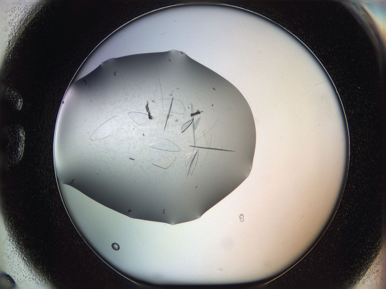 05yp_G6_ImagerDefaults_8.jpg