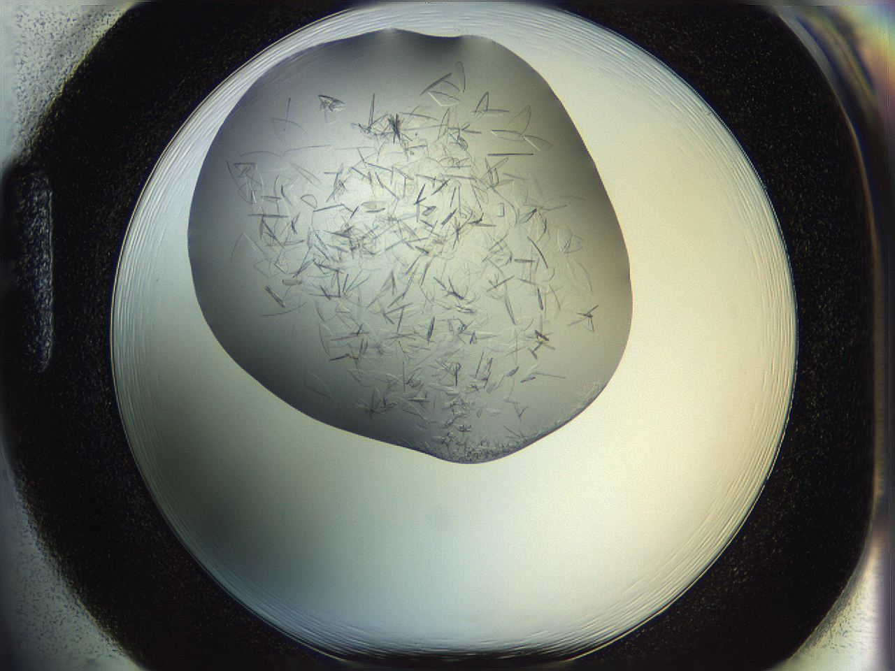 05yp_H1_ImagerDefaults_7.jpg