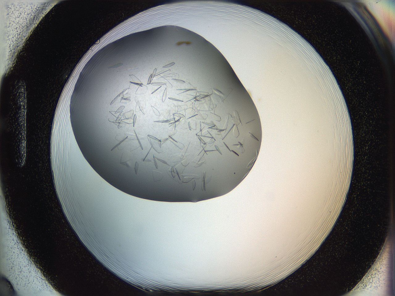 05yp_H2_ImagerDefaults_6.jpg