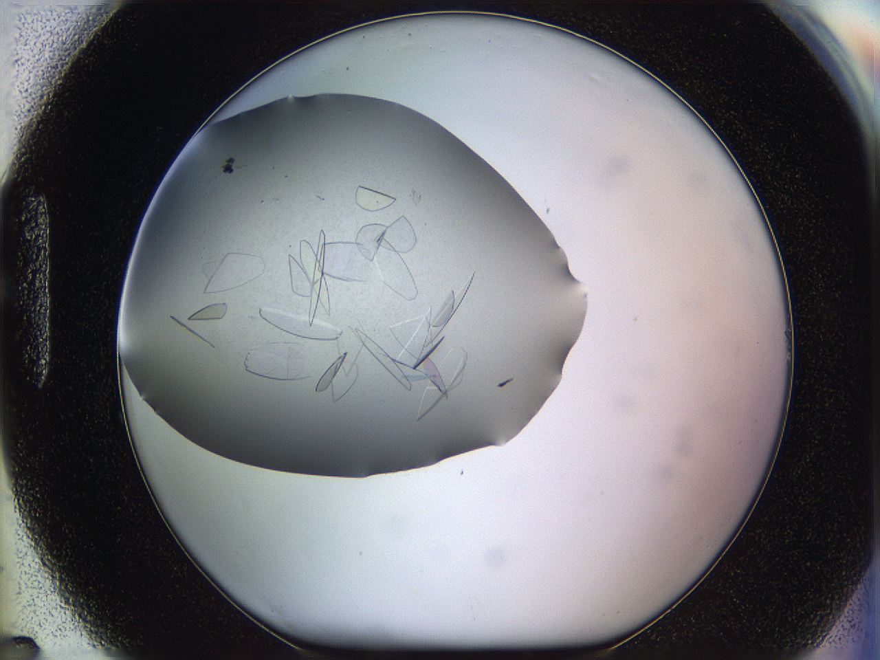 05yp_H7_ImagerDefaults_8.jpg