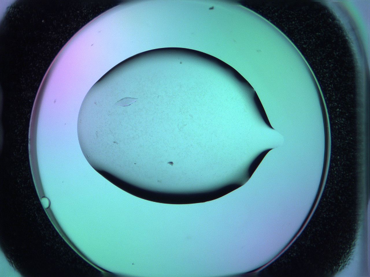 05yq_B5_ImagerDefaults_9.jpg