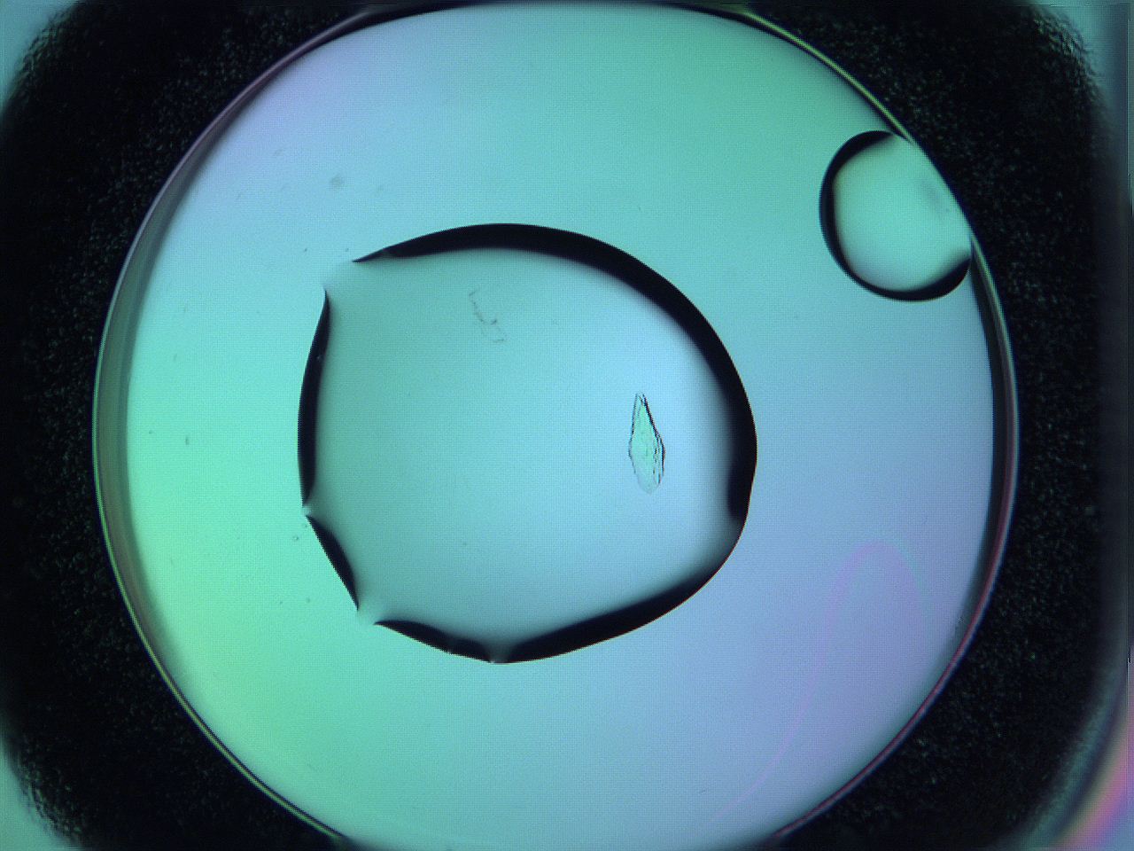 05yq_C3_ImagerDefaults_9.jpg