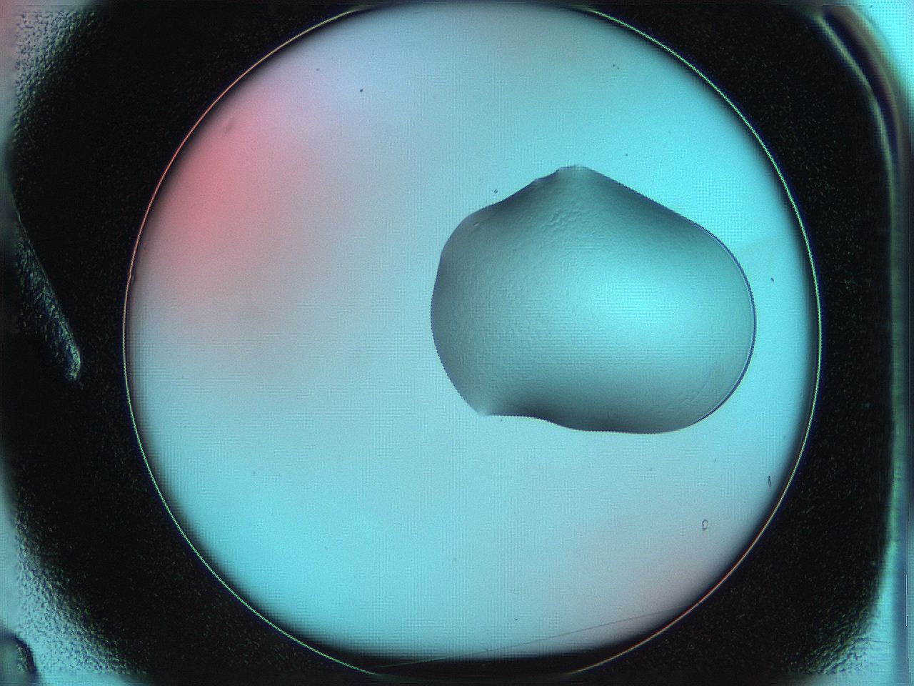 05yv_A3_ImagerDefaults_0.jpg