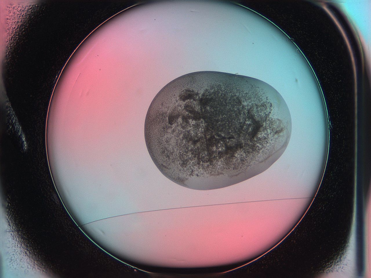 05yv_A1_ImagerDefaults_9.jpg