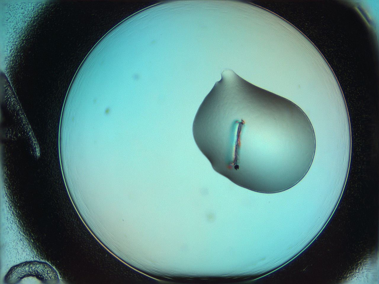 05yv_A12_ImagerDefaults_0.jpg