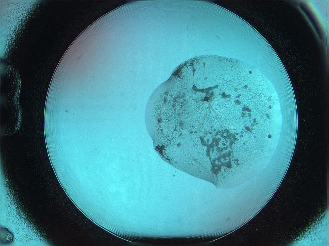 05yv_B6_ImagerDefaults_5.jpg