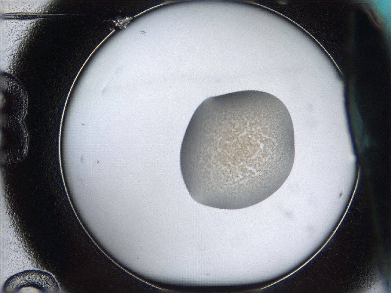 05yv_B12_ImagerDefaults_0.jpg