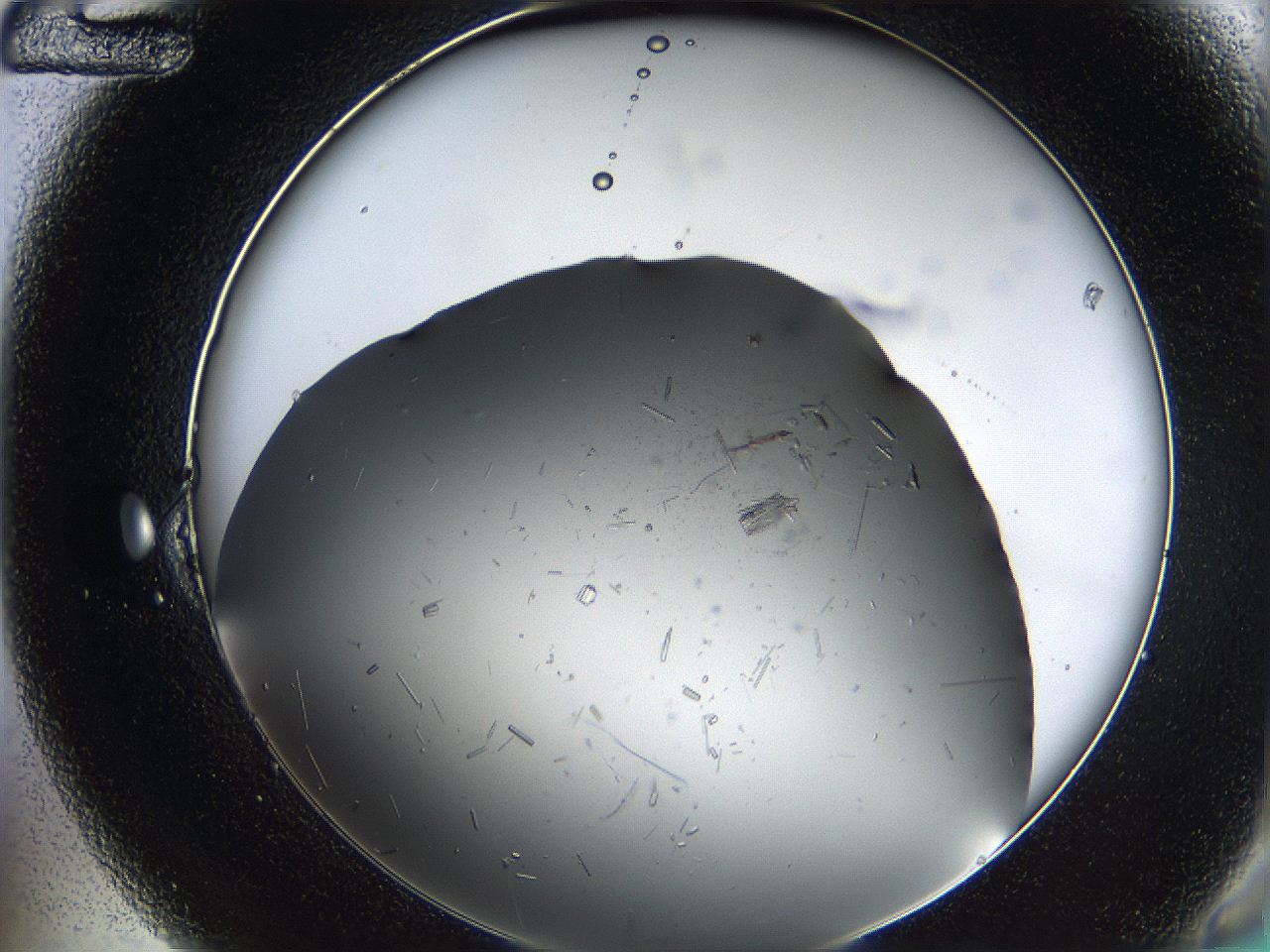 05yv_B12_ImagerDefaults_3.jpg