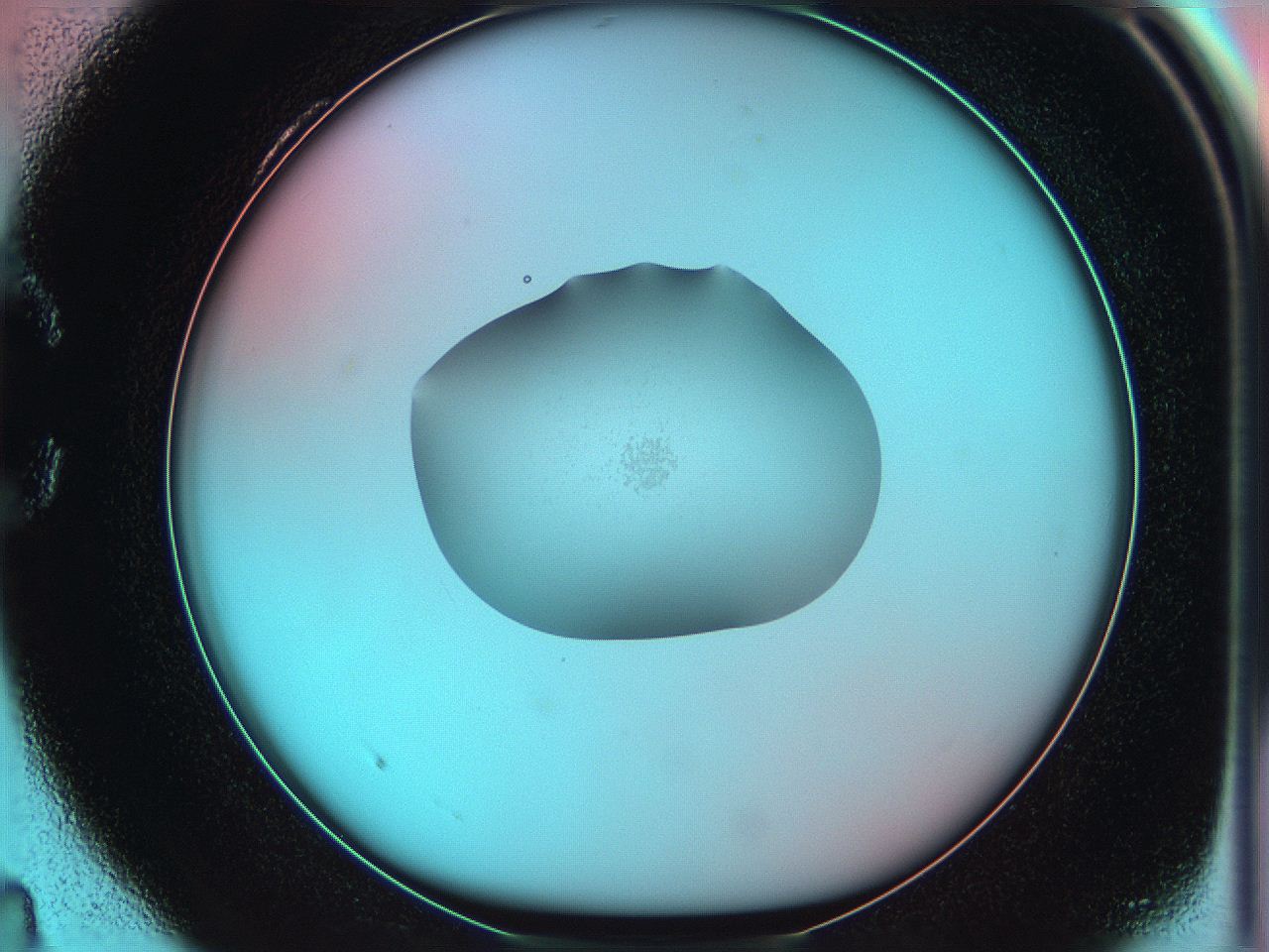 05yv_C4_ImagerDefaults_0.jpg
