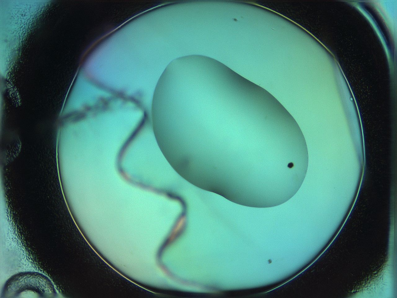 05yv_C10_ImagerDefaults_0.jpg
