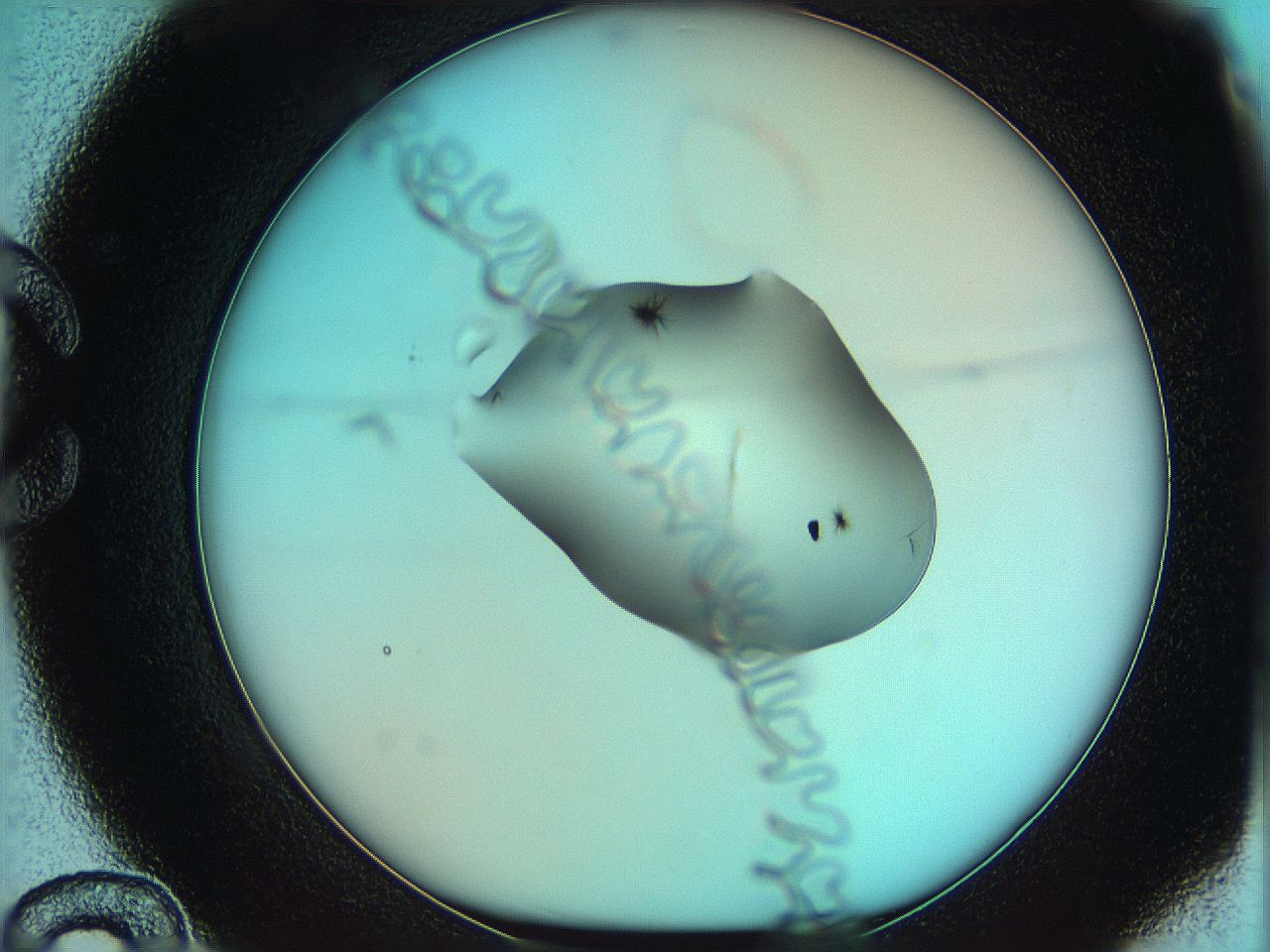 05yv_C12_ImagerDefaults_7.jpg