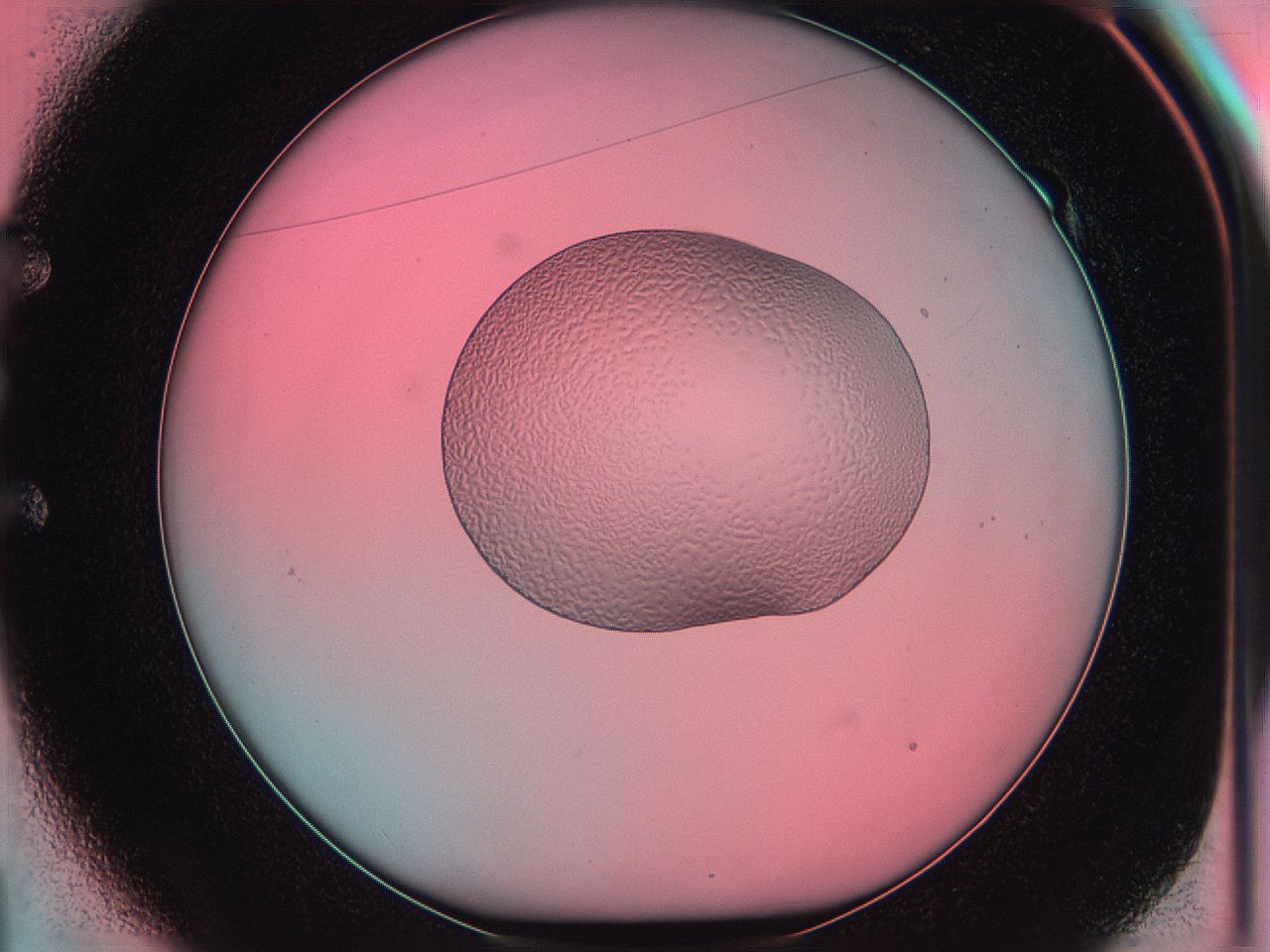 05yv_E1_ImagerDefaults_5.jpg