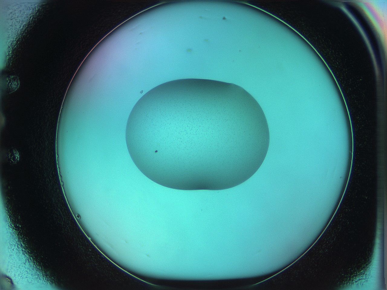 05yv_E8_ImagerDefaults_0.jpg