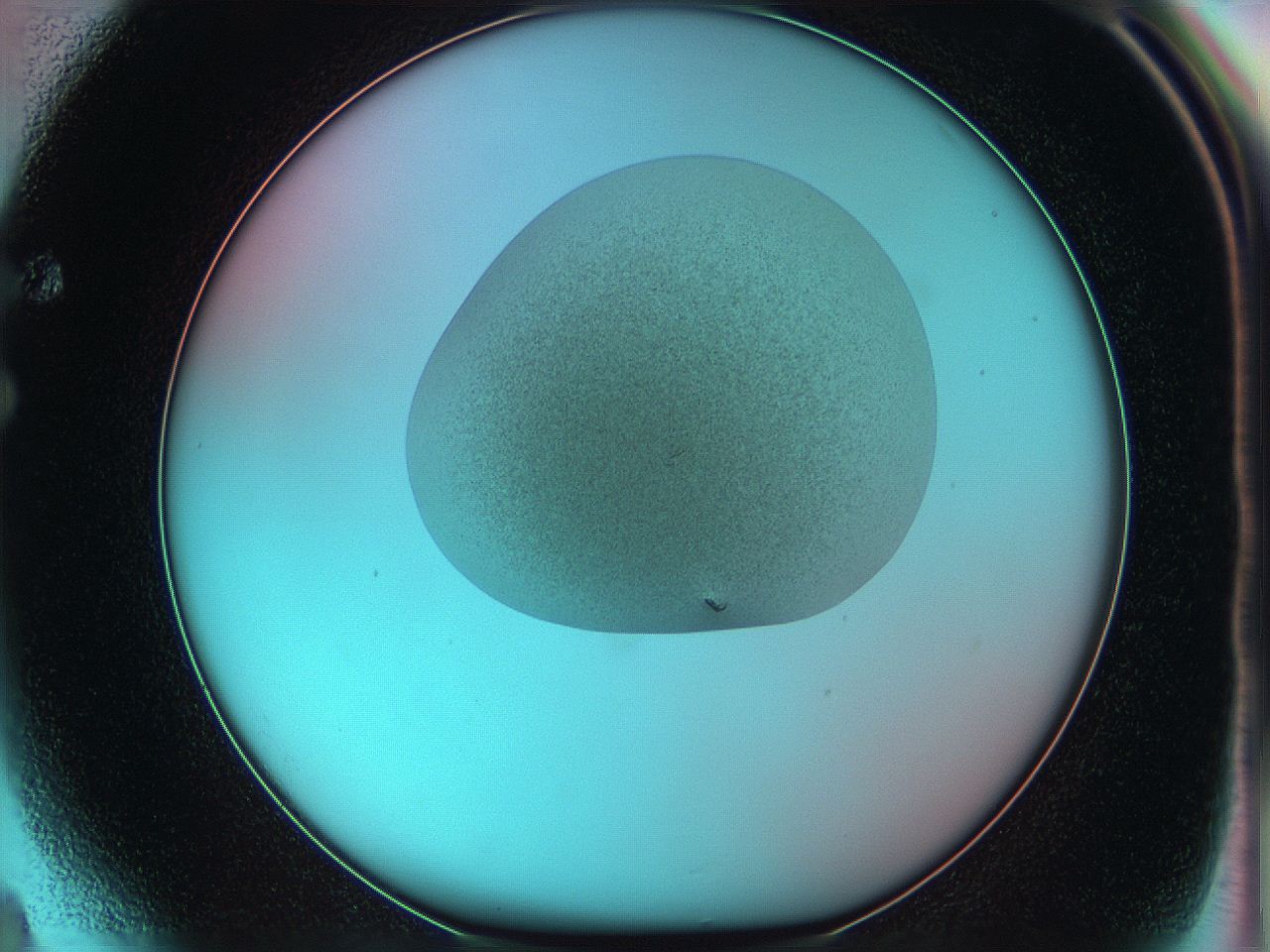 05yv_F4_ImagerDefaults_0.jpg