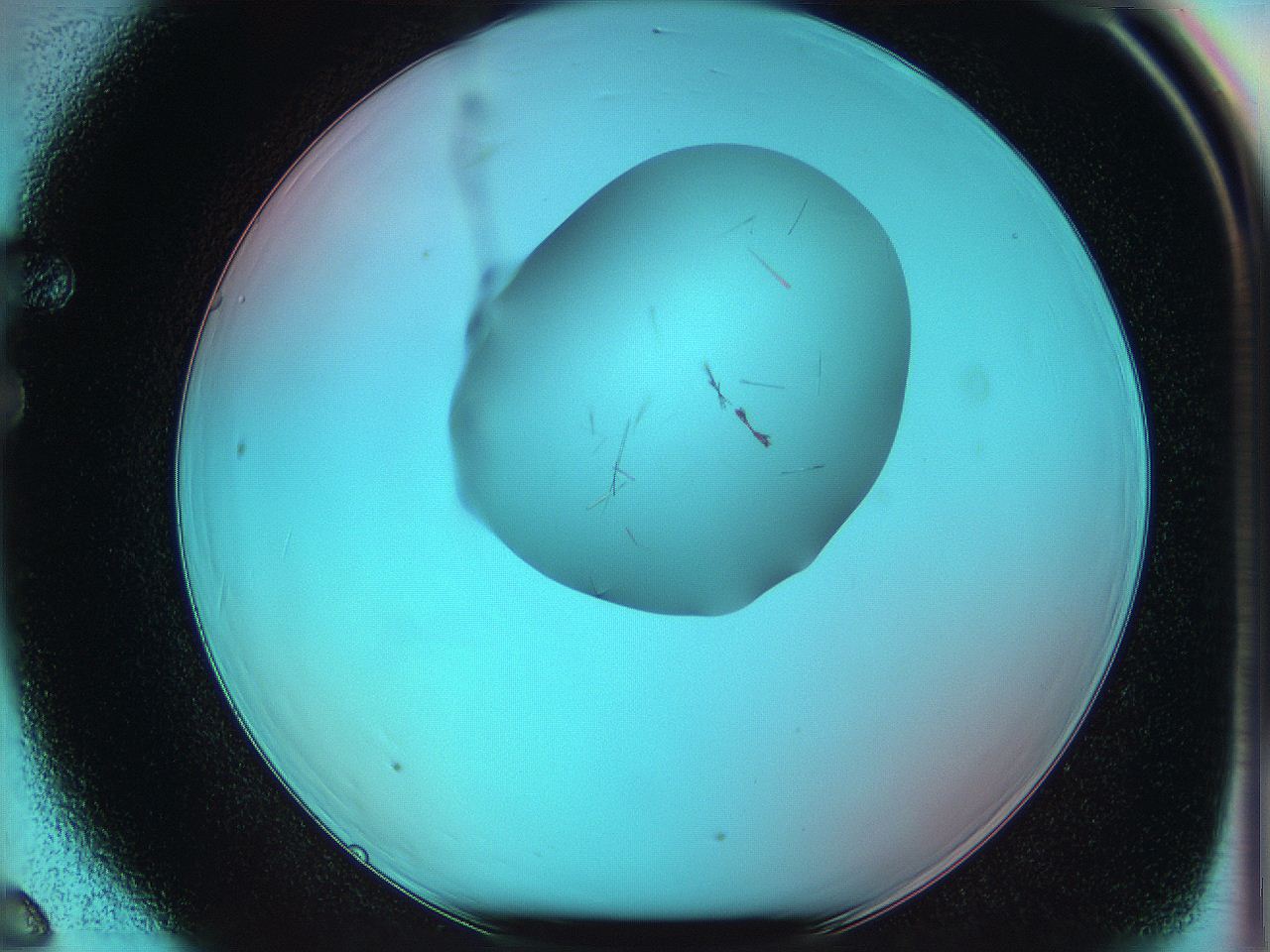 05yv_F6_ImagerDefaults_0.jpg