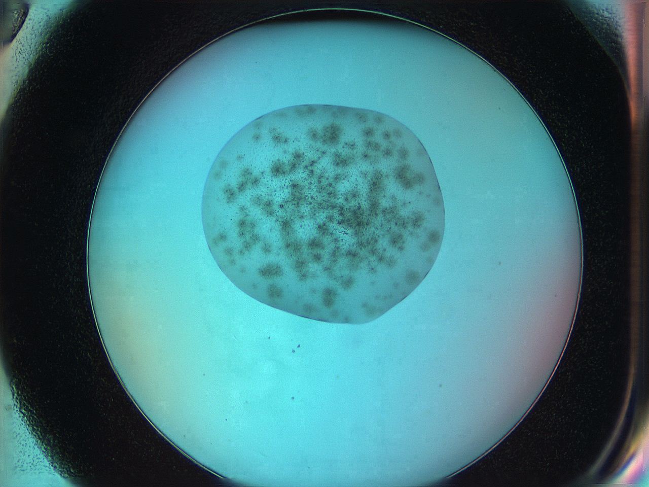 05yv_G6_ImagerDefaults_9.jpg