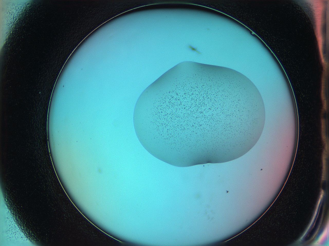 05yv_G7_ImagerDefaults_9.jpg