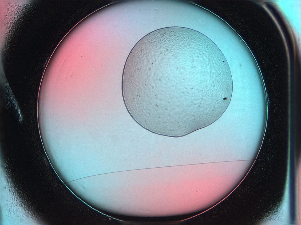 05yw_A1_ImagerDefaults_5.jpg