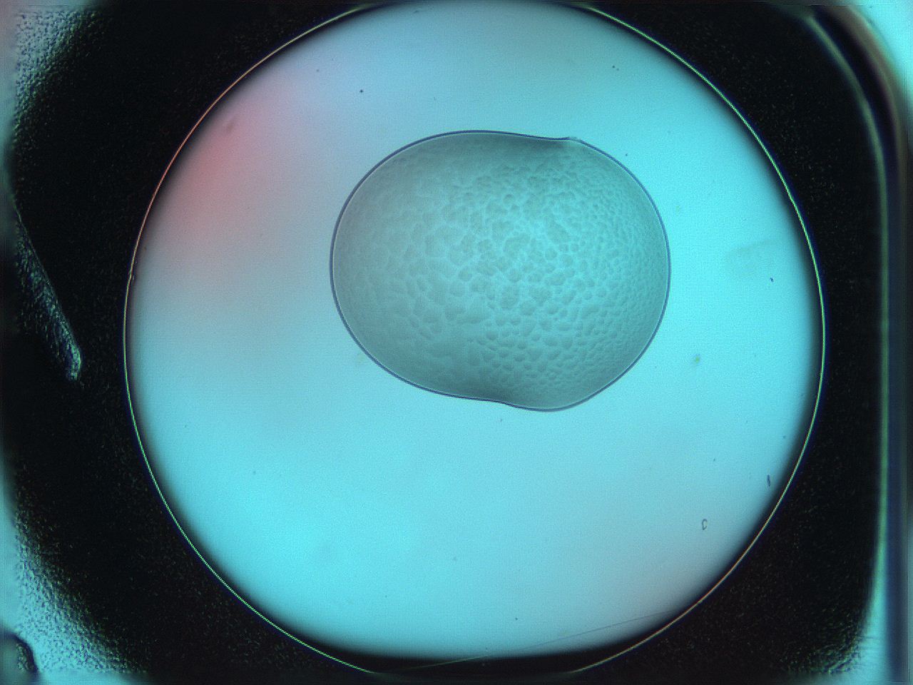 05yw_A3_ImagerDefaults_5.jpg