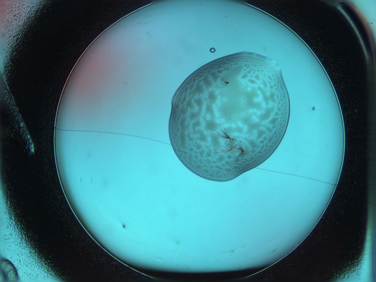 05yw_A8_ImagerDefaults_5.jpg