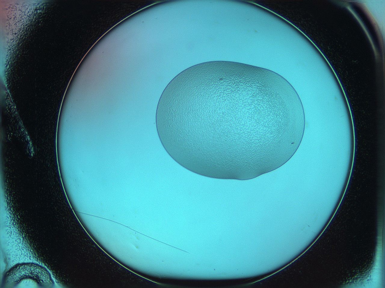 05yw_A10_ImagerDefaults_5.jpg