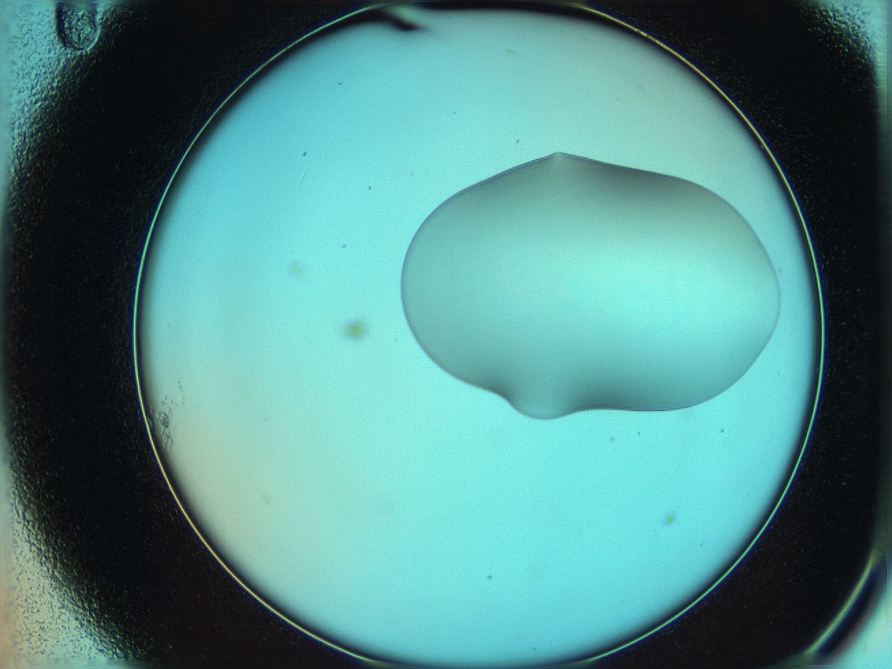 05yw_A11_ImagerDefaults_0.jpg