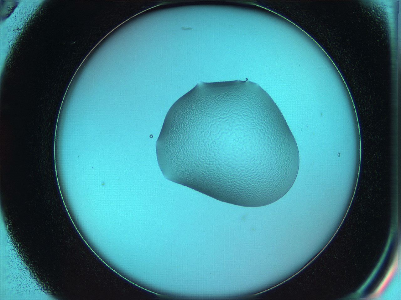05yw_B5_ImagerDefaults_5.jpg