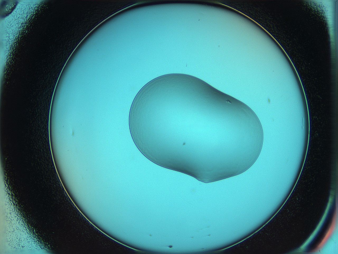 05yw_B8_ImagerDefaults_0.jpg