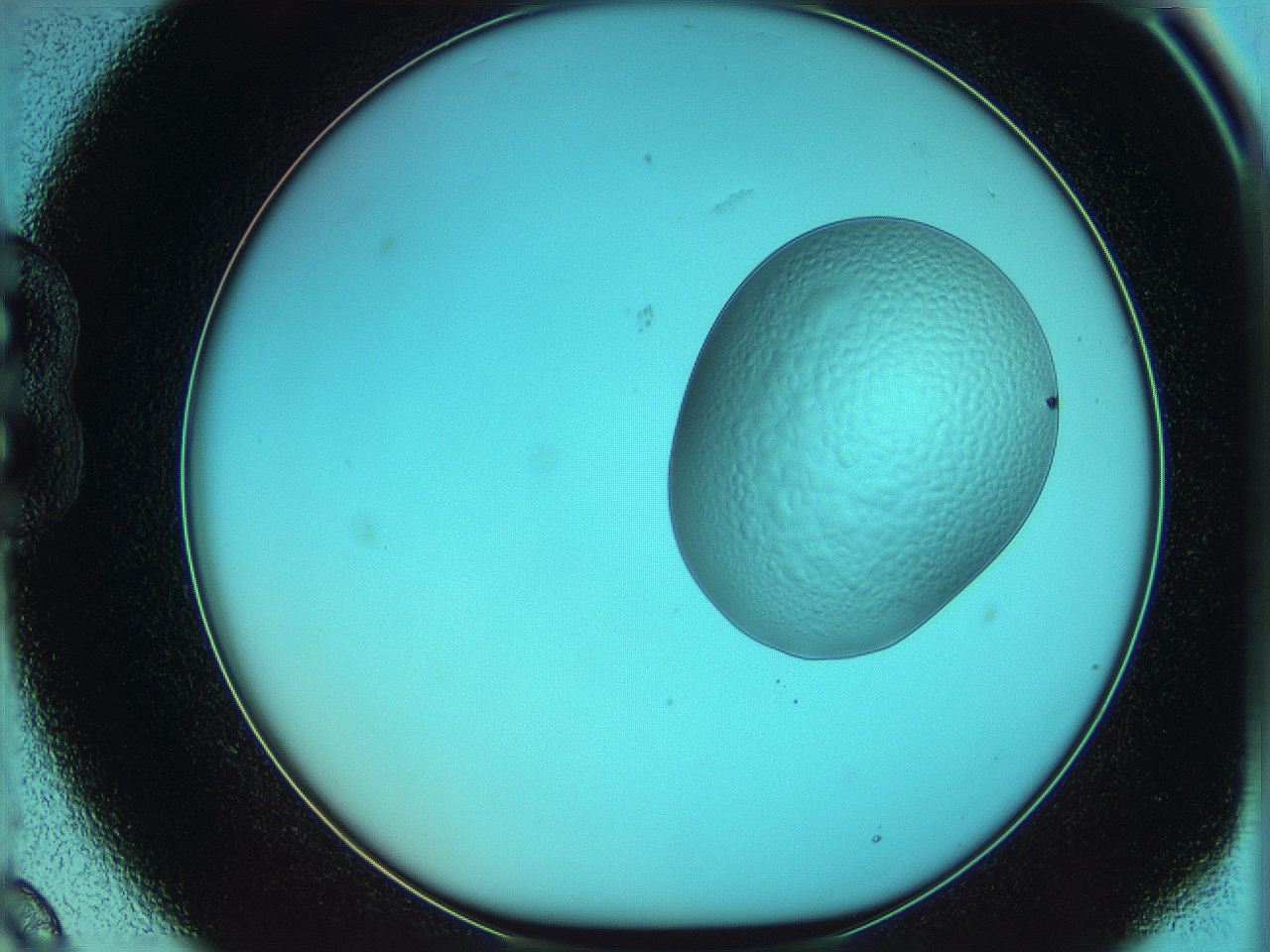 05yw_B9_ImagerDefaults_5.jpg