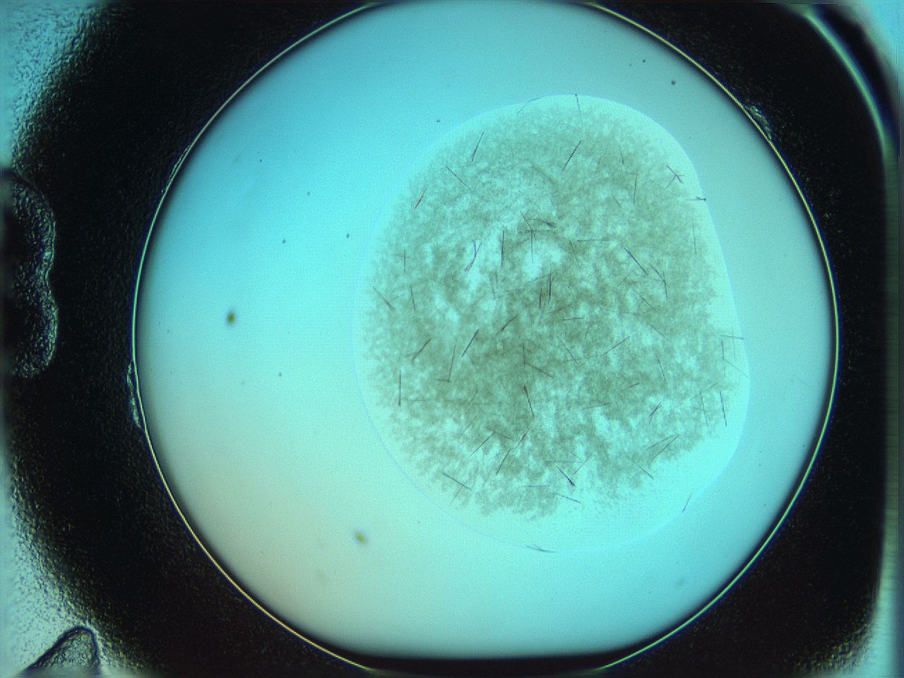 05yw_B11_ImagerDefaults_7.jpg