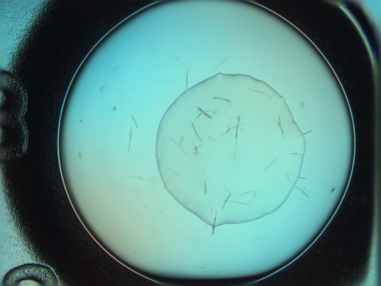 05yw_B12_ImagerDefaults_7.jpg