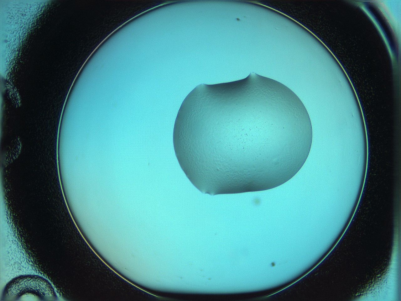 05yw_C10_ImagerDefaults_5.jpg