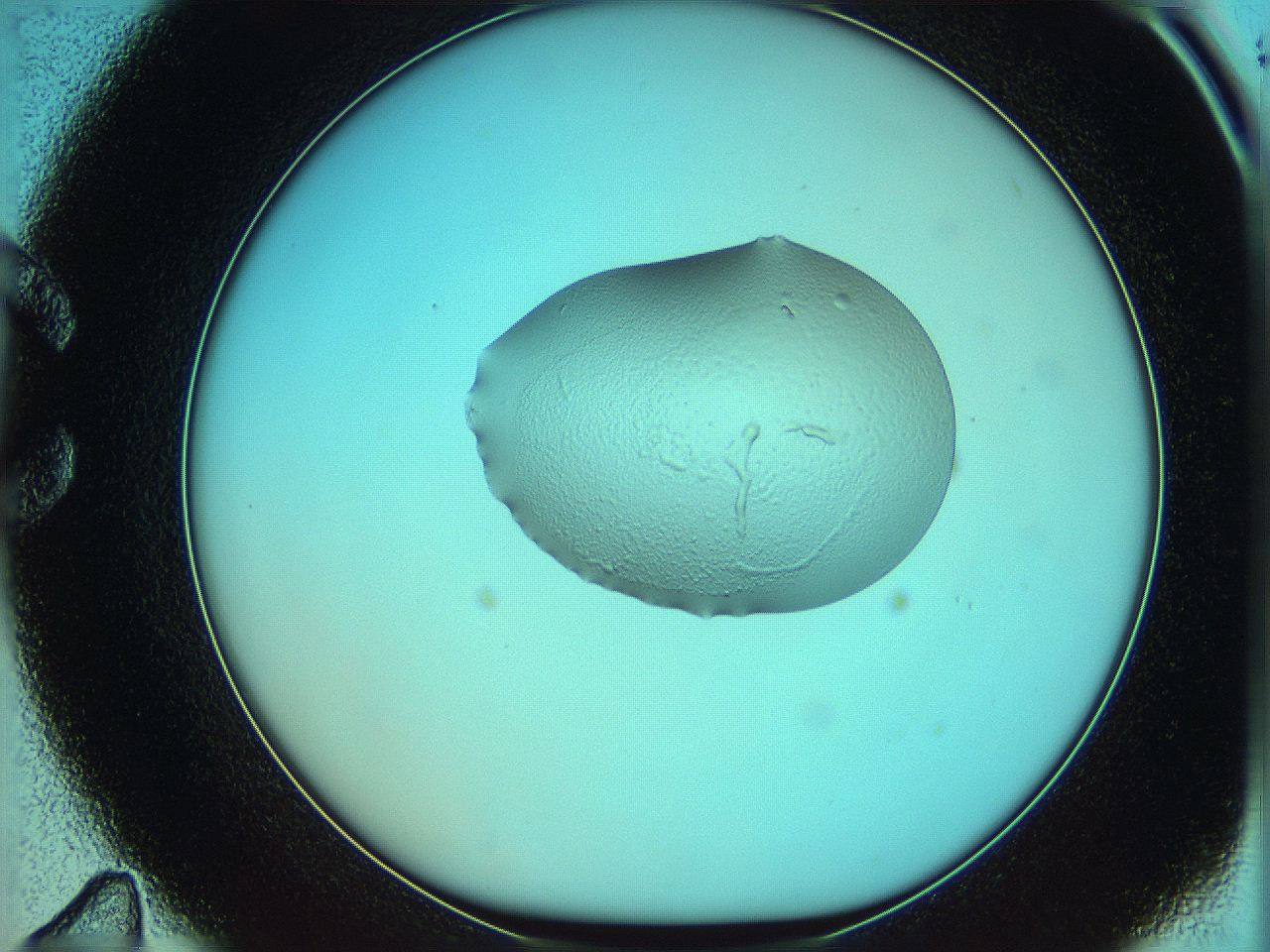 05yw_C11_ImagerDefaults_5.jpg