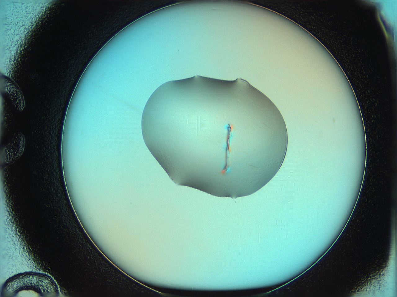 05yw_C12_ImagerDefaults_0.jpg