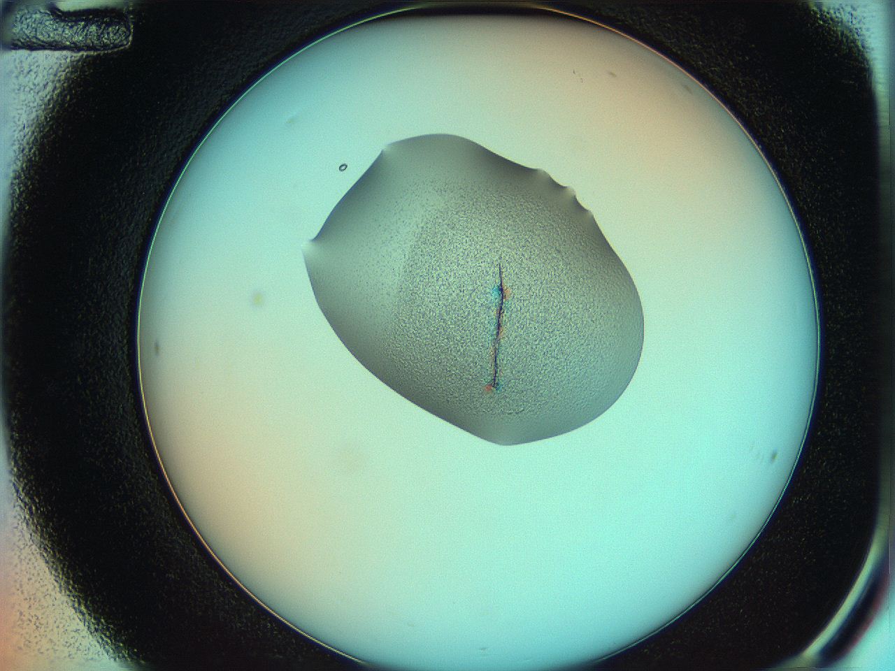 05yw_C12_ImagerDefaults_3.jpg
