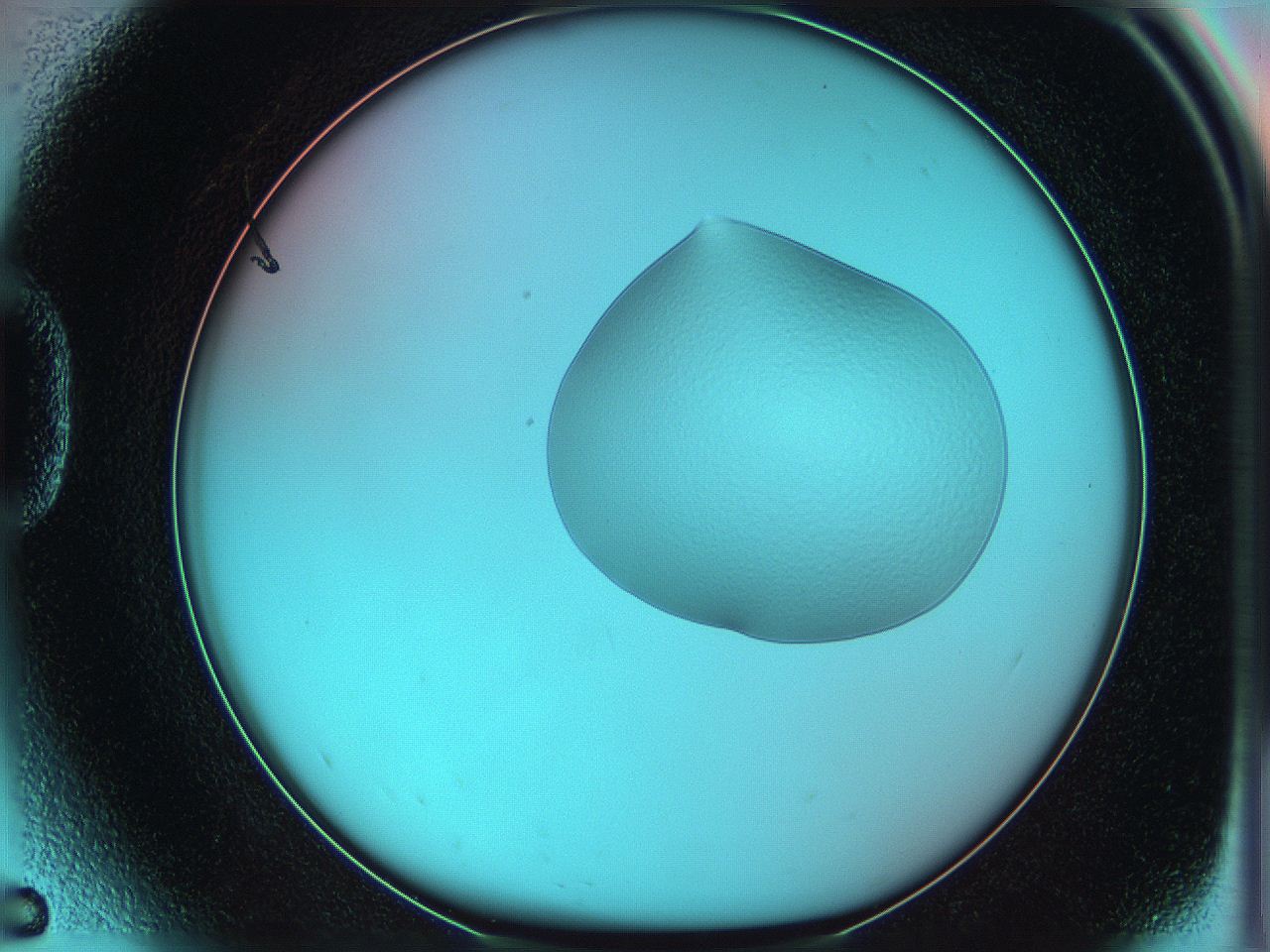 05yw_D5_ImagerDefaults_0.jpg