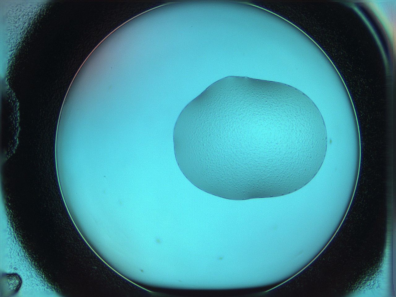 05yw_D7_ImagerDefaults_0.jpg