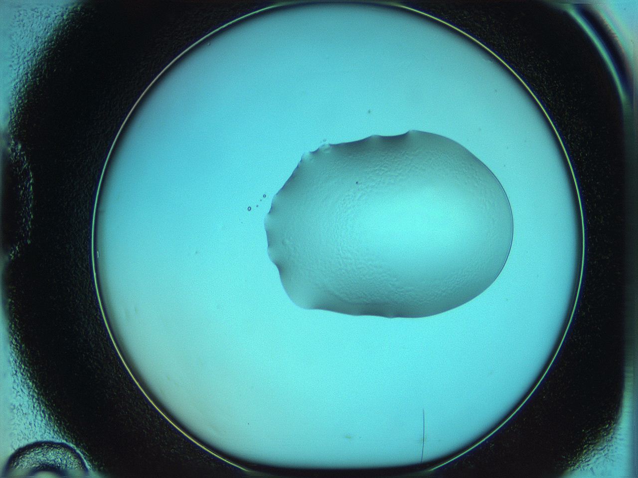 05yw_D10_ImagerDefaults_5.jpg