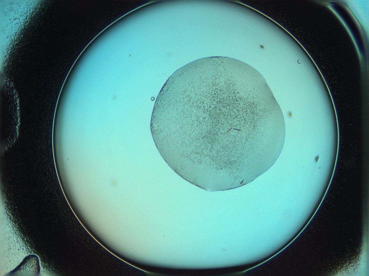 05yw_D11_ImagerDefaults_3.jpg