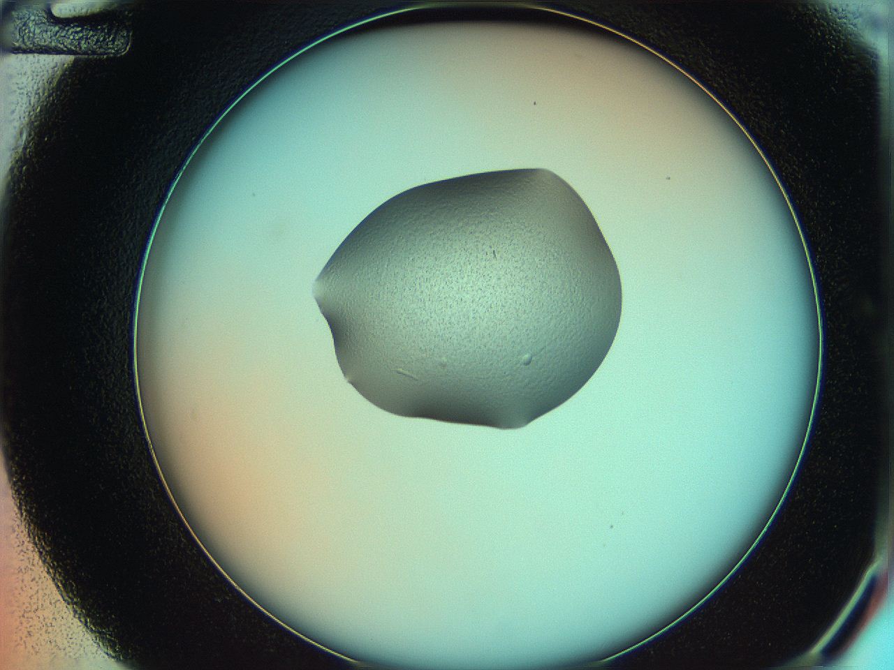 05yw_D12_ImagerDefaults_3.jpg