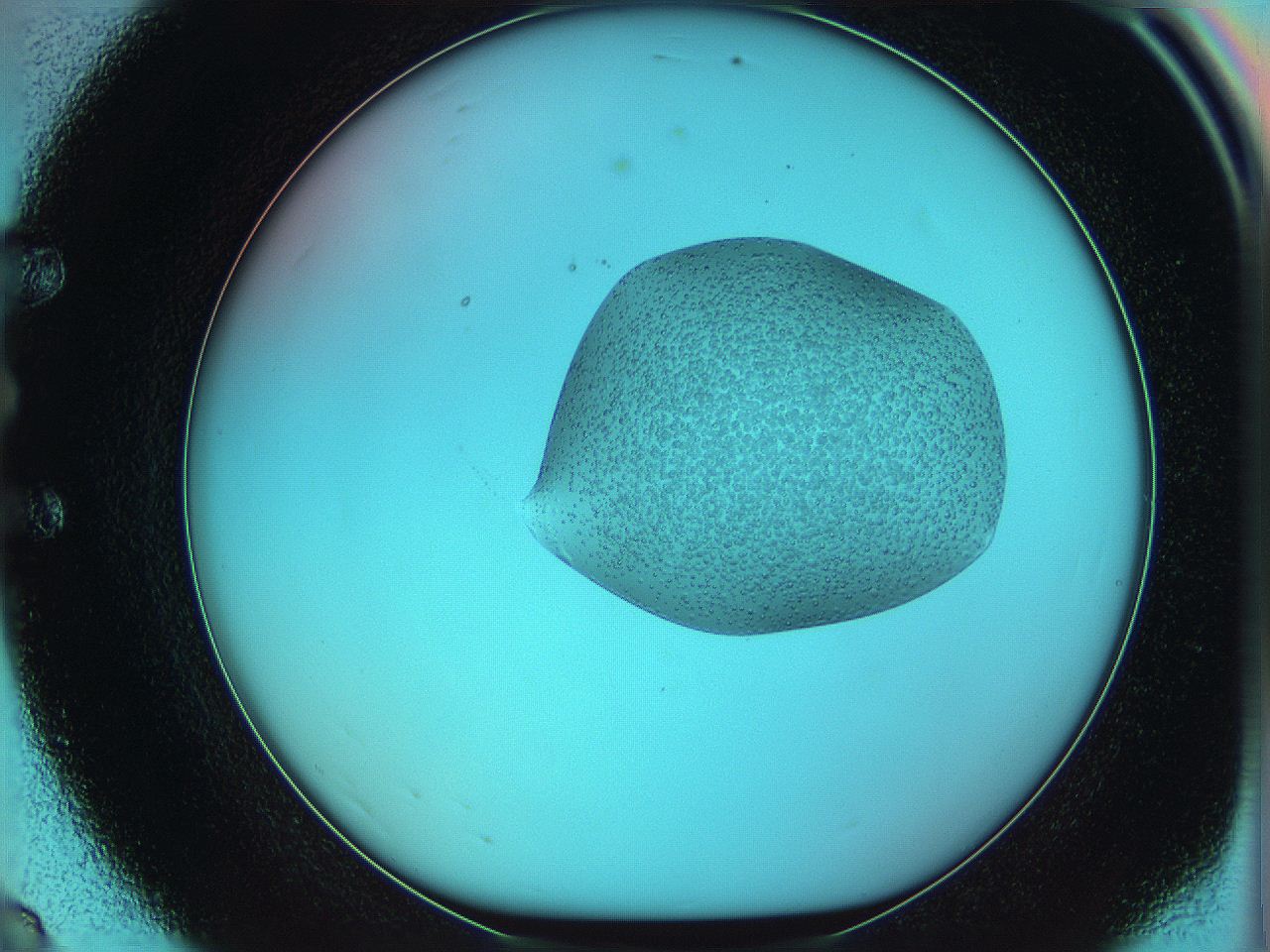 05yw_E8_ImagerDefaults_3.jpg