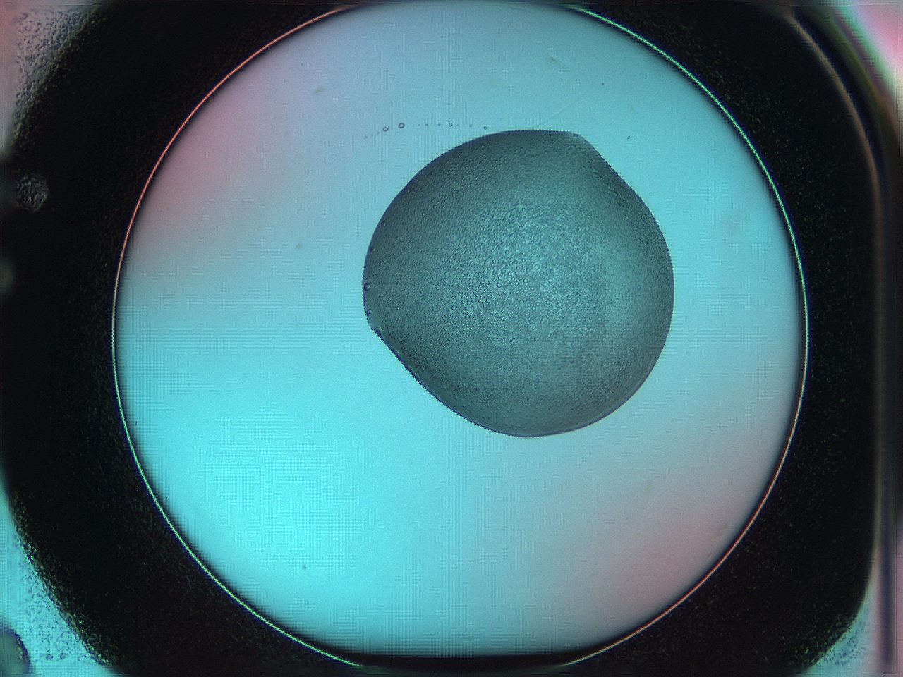 05yw_F2_ImagerDefaults_5.jpg
