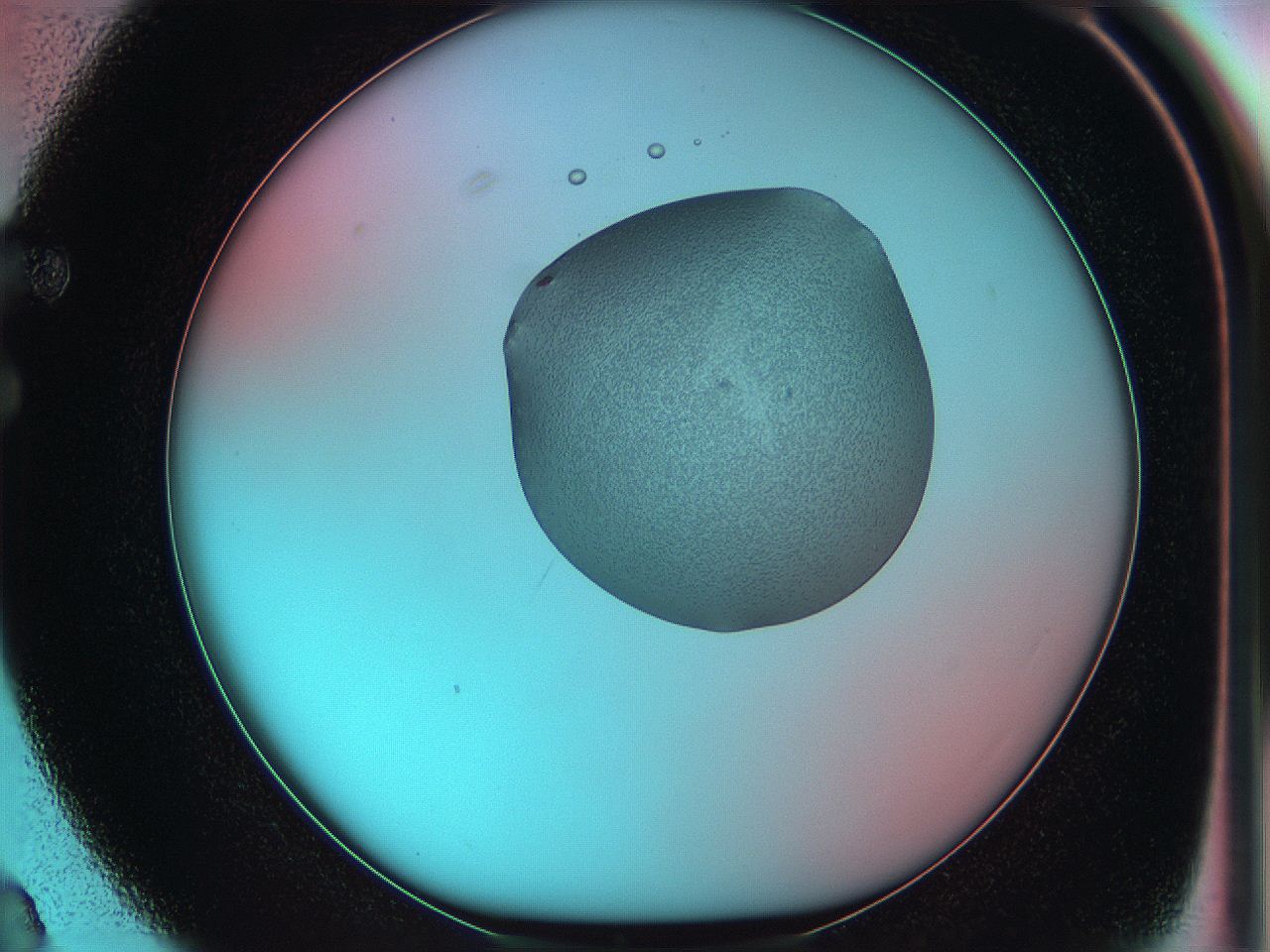 05yw_F3_ImagerDefaults_5.jpg